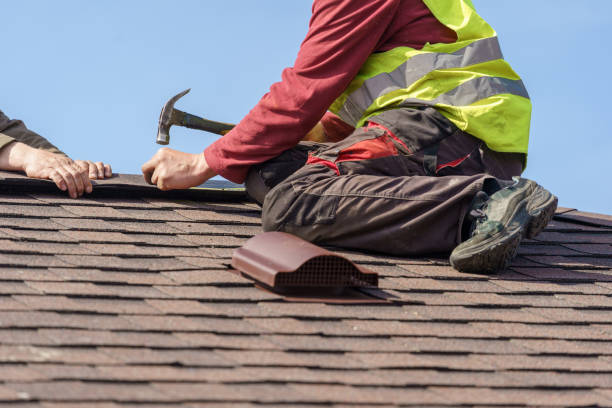 Best New Roof Installation  in Mayville, ND