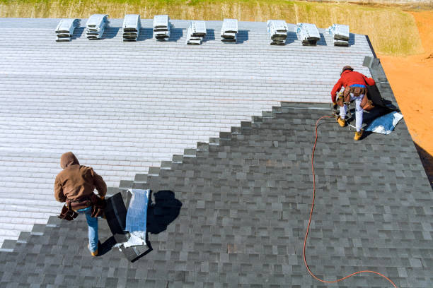 Best Emergency Roof Repair  in Mayville, ND