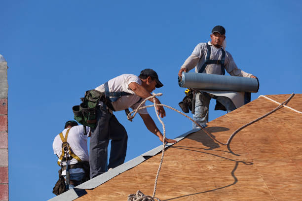Best Storm Damage Roof Repair  in Mayville, ND
