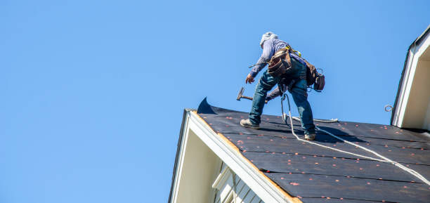 Best Roof Leak Repair  in Mayville, ND